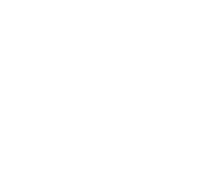 joy life zone logo w